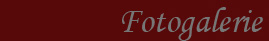 fotogalerie